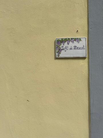 Loft Dei Miracoli Apartamento *
